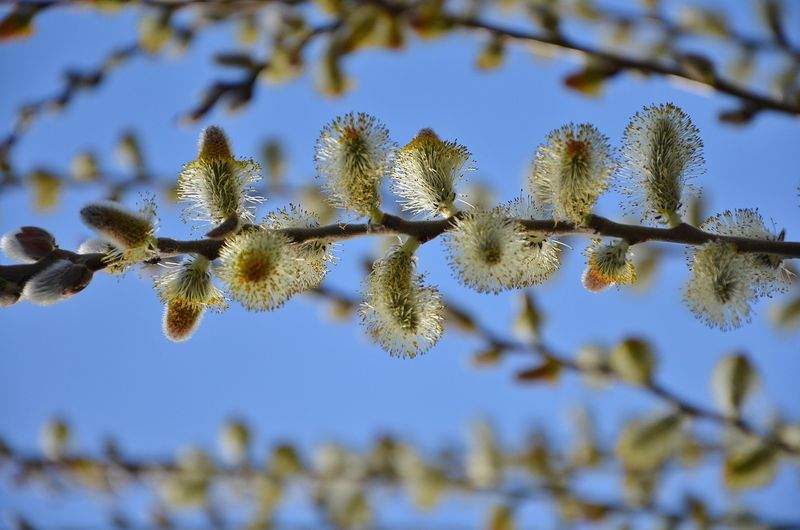 みどり庭園設計株式会社 6
